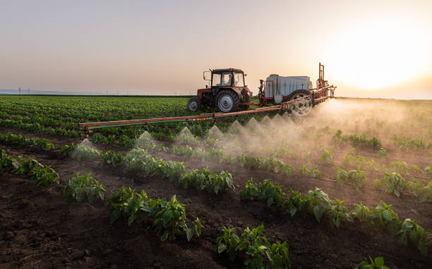 Best Pest Removal Services  in Coachella, CA