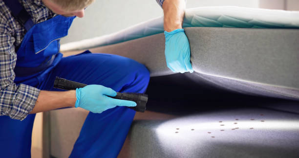 Pest Control Cost in Coachella, CA