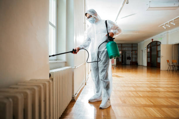 Best Best Pest Control Companies  in Coachella, CA